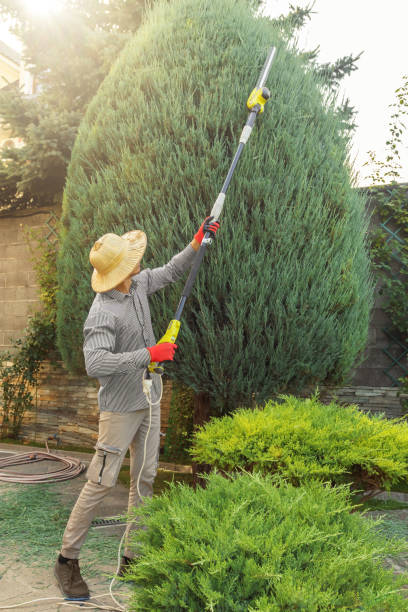 Lawn Grading and Leveling in Hartville, OH